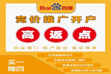 百度广告推广实战案例解析